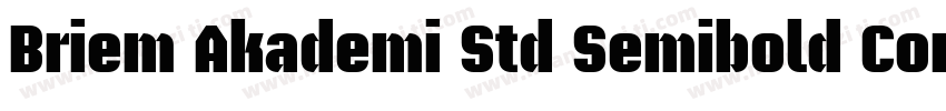 Briem Akademi Std Semibold Cond字体转换